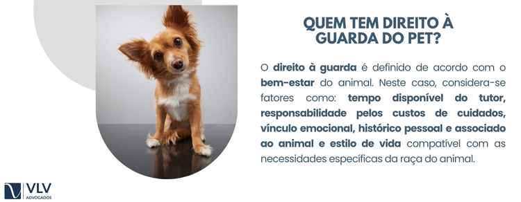 Quem tem direito à guarda do cachorro e/ou a guarda de animais?