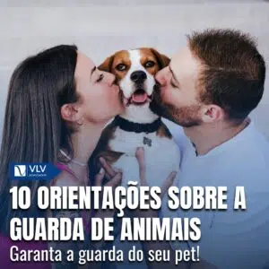 10 orientações sobre a guarda de animais