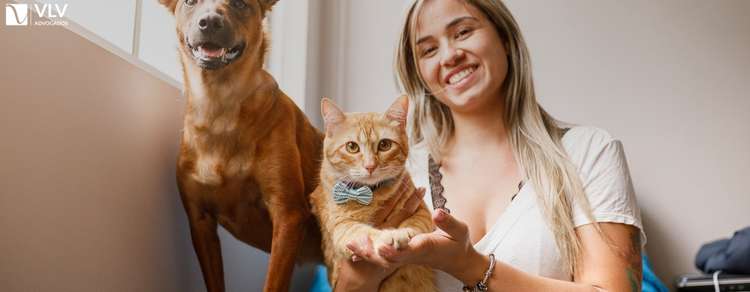 orientações para garantir a guarda do seu pet