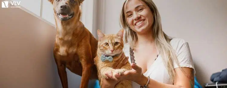 orientações para garantir a guarda do seu pet