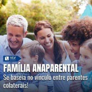 Qual o conceito de família anaparental na jurisprudência? 3 Qual o conceito de família anaparental na jurisprudência?