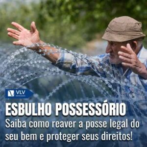 Esbulho: quando ocorre e quais os tipos? 6 Esbulho: quando ocorre e quais os tipos?