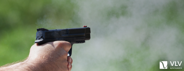 imagem representando armas de fogo