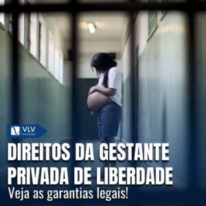 Quais são os direitos da gestante privada de liberdade? 8 Quais são os direitos da gestante privada de liberdade?