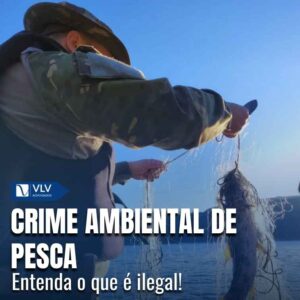 Crime ambiental de pesca: o que diz a lei?
