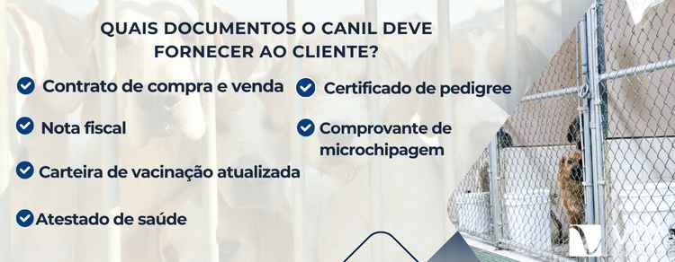 documentos necessários que o canil deve fornecer para o cliente 