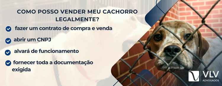 requisitos para venda legal de animais domésticos 