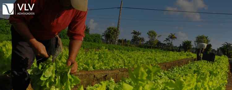 Quais os documentos para comprovar atividade rural no INSS?