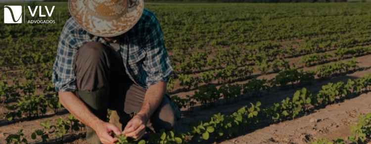 Aposentadoria rural por invalidez: como funciona e requisitos