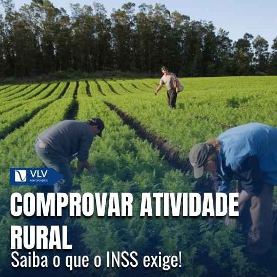 Quais os documentos para comprovar atividade rural no INSS?