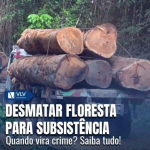 Desmatar floresta para subsistência é crime?