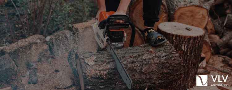 Desmatar floresta para subsistência é crime?