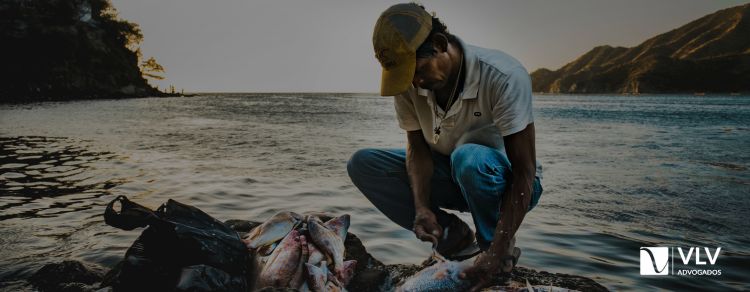 Aposentadoria do pescador artesanal: como funciona?