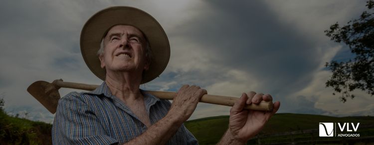 O trabalhador rural tem direito à insalubridade?