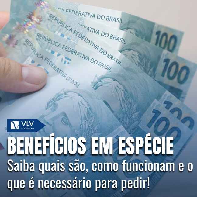 Blog Previdenciário 14 imagem representando benefícios em espécieimagem representando benefícios em espécie