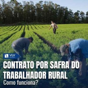Cível 13 Contrato por safra do trabalhador rural: como funciona?