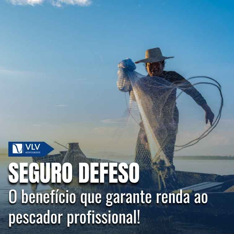 Seguro defeso ao pescador artesanal profissional