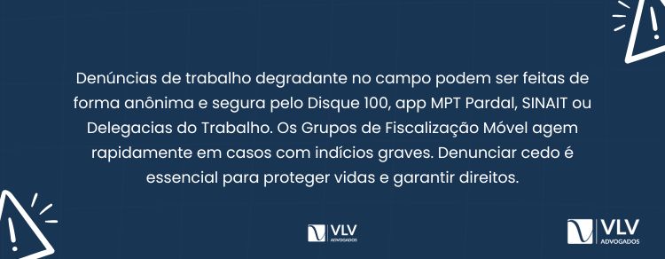 Como posso denunciar trabalho degradante no campo?