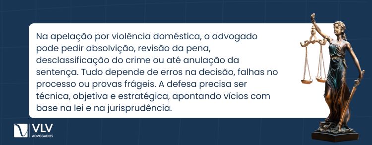 alegações no recurso de apelação por violência doméstica