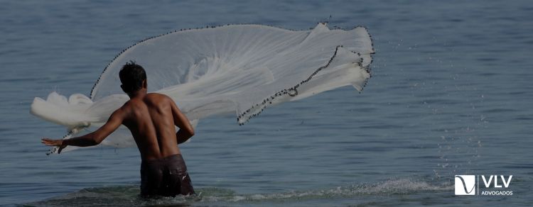 Seguro defeso ao pescador artesanal profissional