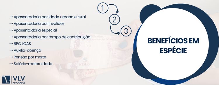 Benefícios em espécie: quando o INSS paga em dinheiro! 2 imagem elencando os tipos de benefícios em espécie
