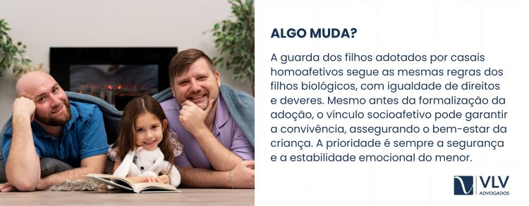 A guarda dos filhos adotados por casal homoafetivo segue as mesmas regras dos filhos biológicos.