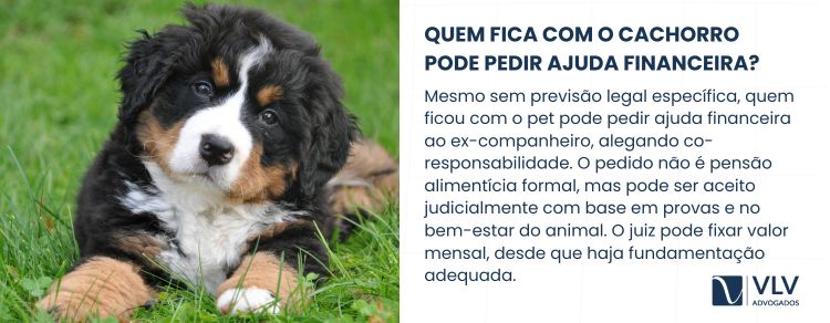 Mesmo sem lei, quem fica com o pet pode pedir ajuda ao ex, se ambos cuidavam e há custo alto.