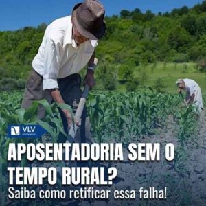 CapasCami 2025 08 01T165743.491