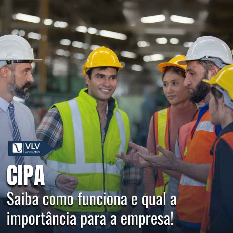Blog 13 Cipa