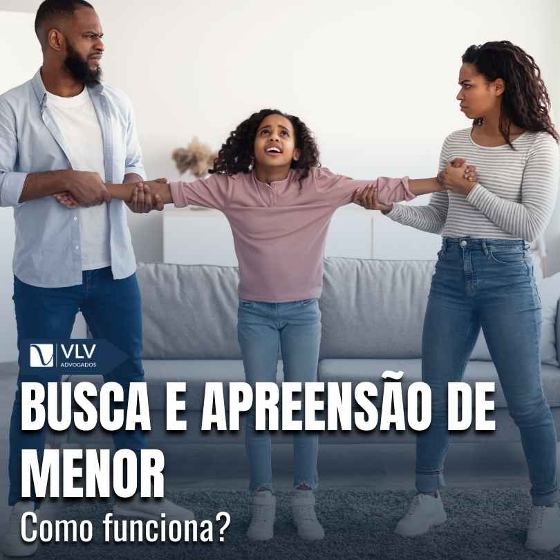 busca e apreensao de menor
