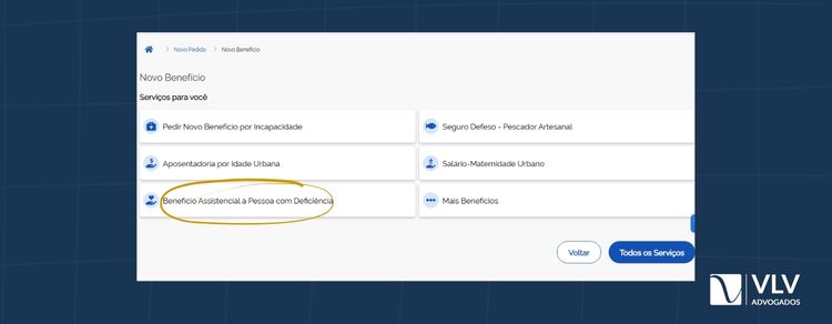 Imagem explicativa sobre como selecionar Benefício Assistencial à Pessoa com Deficiência (BPC).
