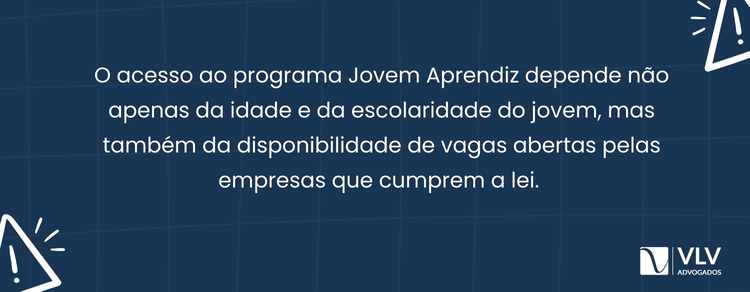 Jovem Aprendiz: 14 a 24 anos, estudando.