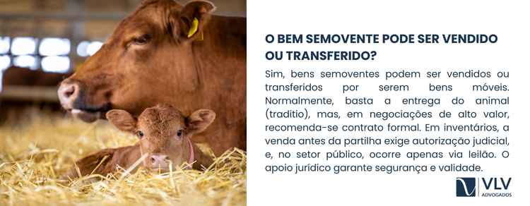 Sim: como bens móveis, os semoventes podem ser vendidos ou transferidos.