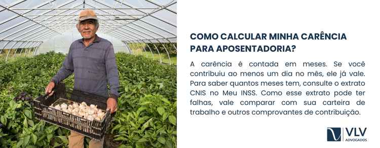 A contagem da carência é feita mês a mês. 