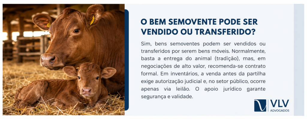 Bem semovente: o que significa esse termo pouco conhecido? 2 imagem representando se bem semovente pode ser vendido ou transferido