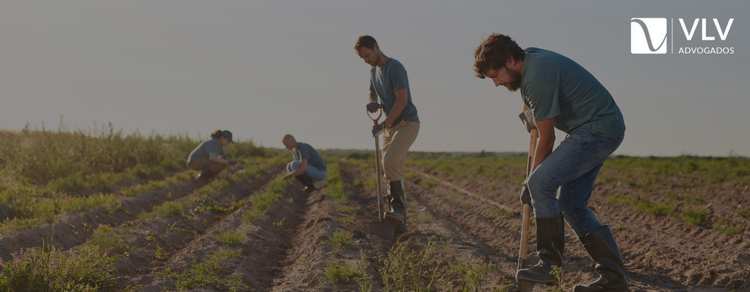 Imagem representando Período de graça do trabalhador rural.