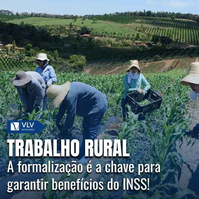 Trabalho rural.