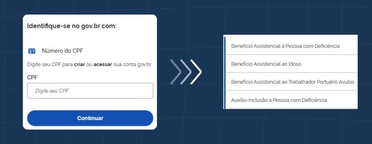 Escolha “Benefício assistencial à pessoa com deficiência” e preencha as informações.