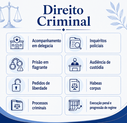 infográfico de direito criminal do VLV Advogados