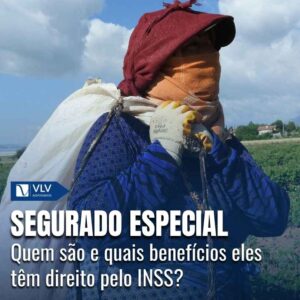 Quem é o segurado especial do INSS? Quais os direitos? 8 Segurado especial