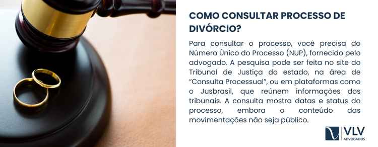 explicação de como consultar o processo de divórcio