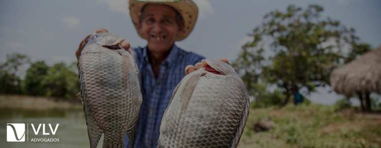 Quem é o segurado especial do INSS? Quais os direitos? 1 Imagem representando segurado especial do INSS.