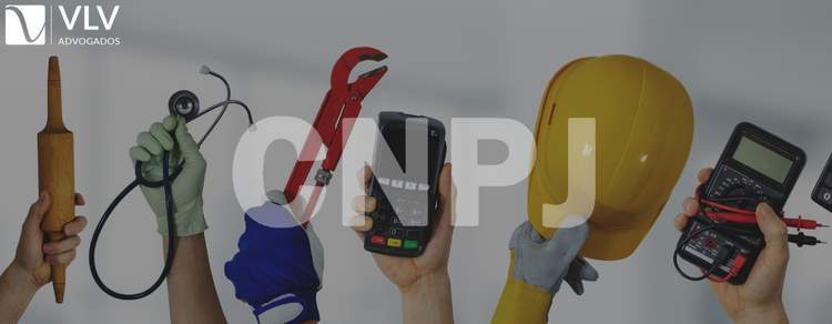 imagem representando segurado especial com CNPJ