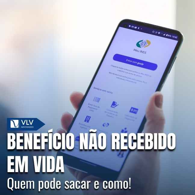 Blog 14 Capas Cami 2025 12 15T153636.958