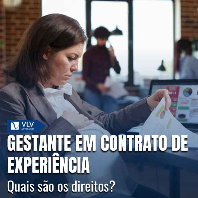 Blog 17 Capas Cami 2025 12 23T100421.527