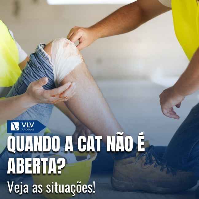 Blog 12 Capas Cami 2025 12 23T105639.915