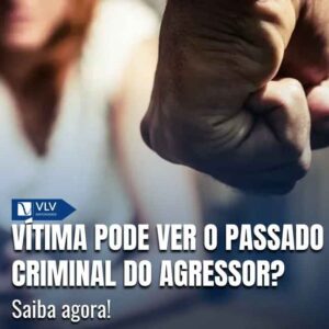 Vítima de violência doméstica pode acessar histórico criminal do agressor 9 A vítima de violência doméstica pode acessar o histórico criminal do agressor?