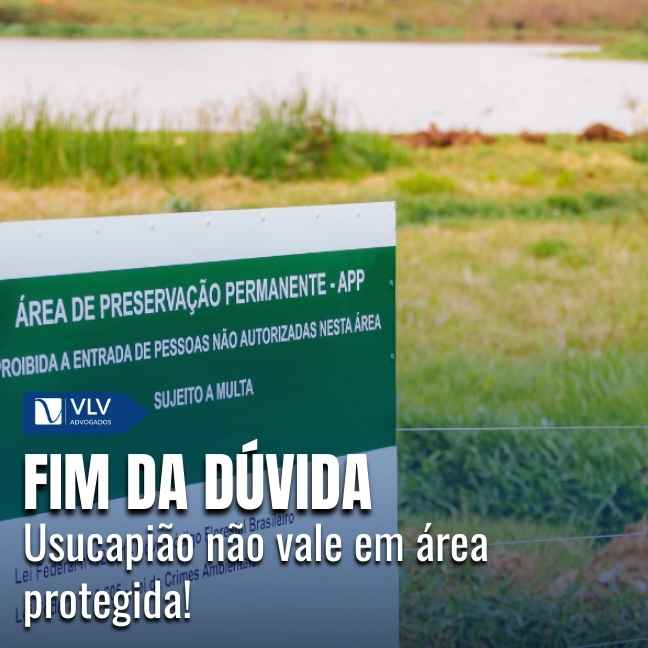 Capas Cami 2025 12 29T105655.209