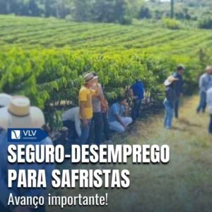 Seguro-desemprego para trabalhador rural safrista avança no Congresso 3 Proposta prevê seguro-desemprego escalonado para o safrista, de acordo com o tempo de trabalho.