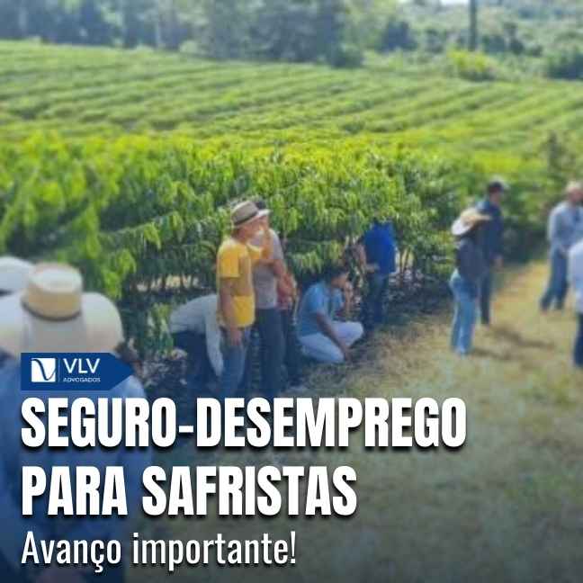Blog 20 Proposta prevê seguro-desemprego escalonado para o safrista, de acordo com o tempo de trabalho.